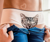 cat-underwear-womens-underwear-lickstarter.jpg